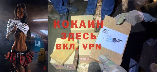 крисы Новодвинск
