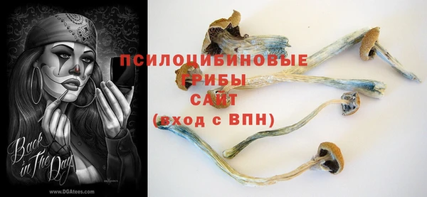 мяу мяу мука Абинск