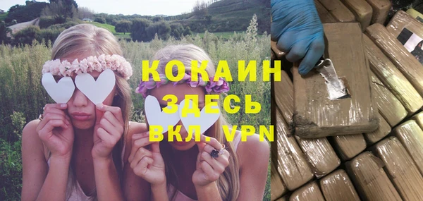 твердый Абаза