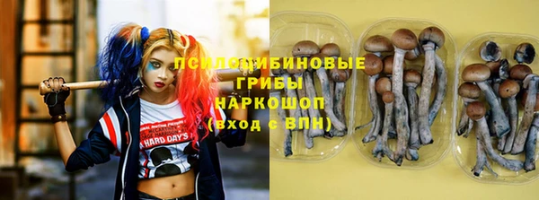 твердый Абаза